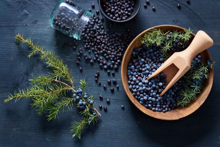 Juniper berries in wooden bowl used to create gin at Carmel Distillery in Perth Hills